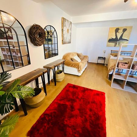 No 14 , 15 Meters Plein Centre Mirepoix Apartment Tres Calme Netflix ,Terrace Sleeps 4 70 M2 Exteriér fotografie